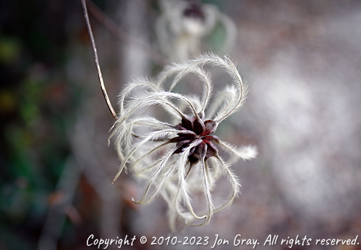 Green Mountain Overlook