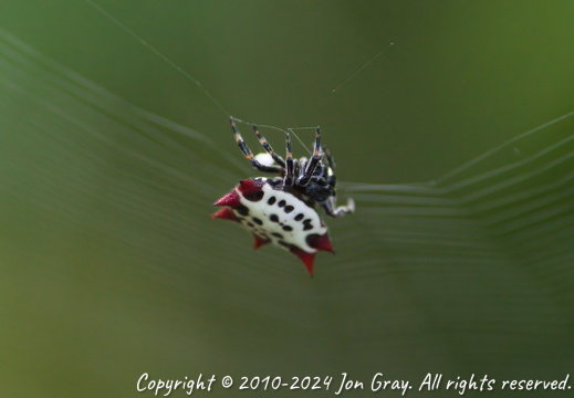 Oakland Nature Preserve